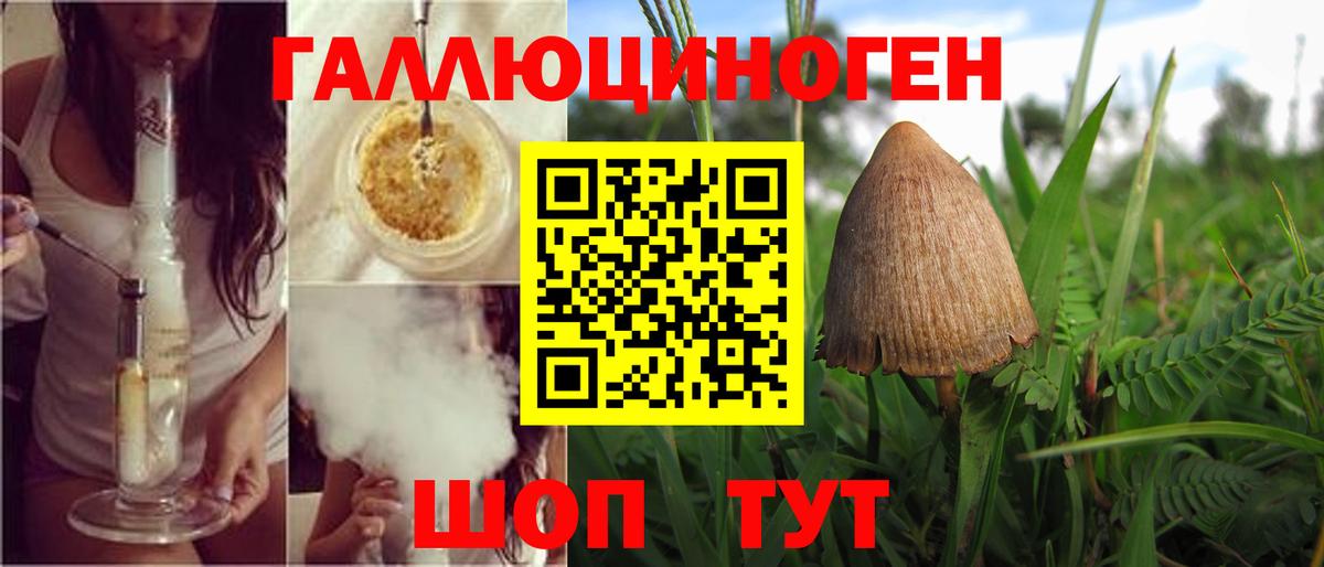 Галлюциногенные грибы Psilocybe  Вход с VPN  Калининград  Псилоцибиновые грибы мухоморы 